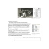 Projektmanagement und Prozesse