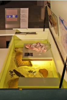 Vitrine im aktiven Zustand - bei Konzerten zuklapp- und wegrollbar