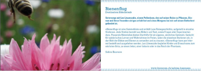 Sabine Baumann