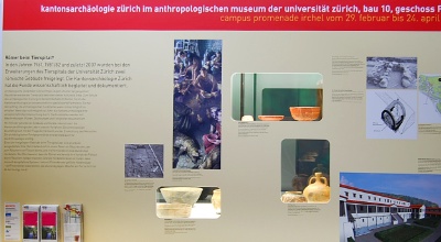 Campus Promenade Uni Zürich, Kantonsarchäologie