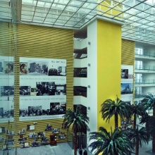 Die Grafik von WBG arbeitet mit der Struktur des Gebäudes. © Moser Ausstellungsdesign