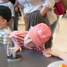 Scientifica 11